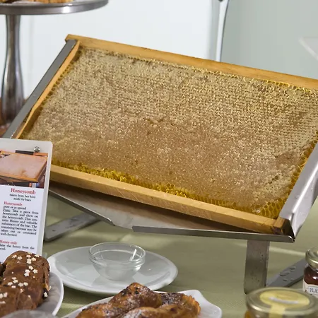 Durrueli & Szálloda Ischia